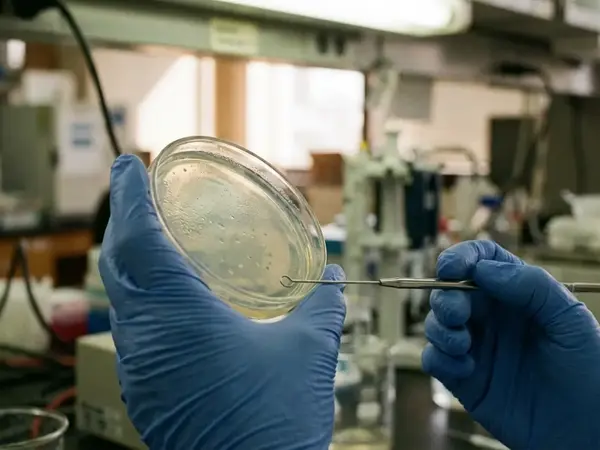 Achiya Annual Impact Report: Empowering Students Across Israel