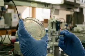 Achiya Annual Impact Report: Empowering Students Across Israel