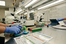 How to Support Your Child's Individualized Education Program (IEP) at Home