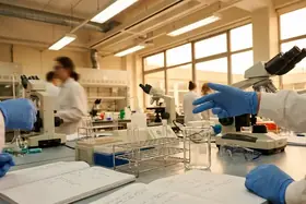 Why Volunteering as an Educational Mentor Changes Lives